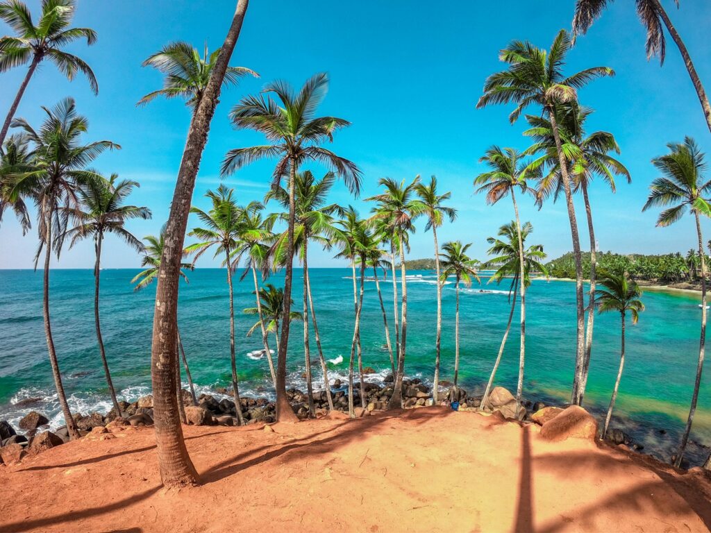 dinuka-lankaloka-iduEaeBB_rQ-unsplash