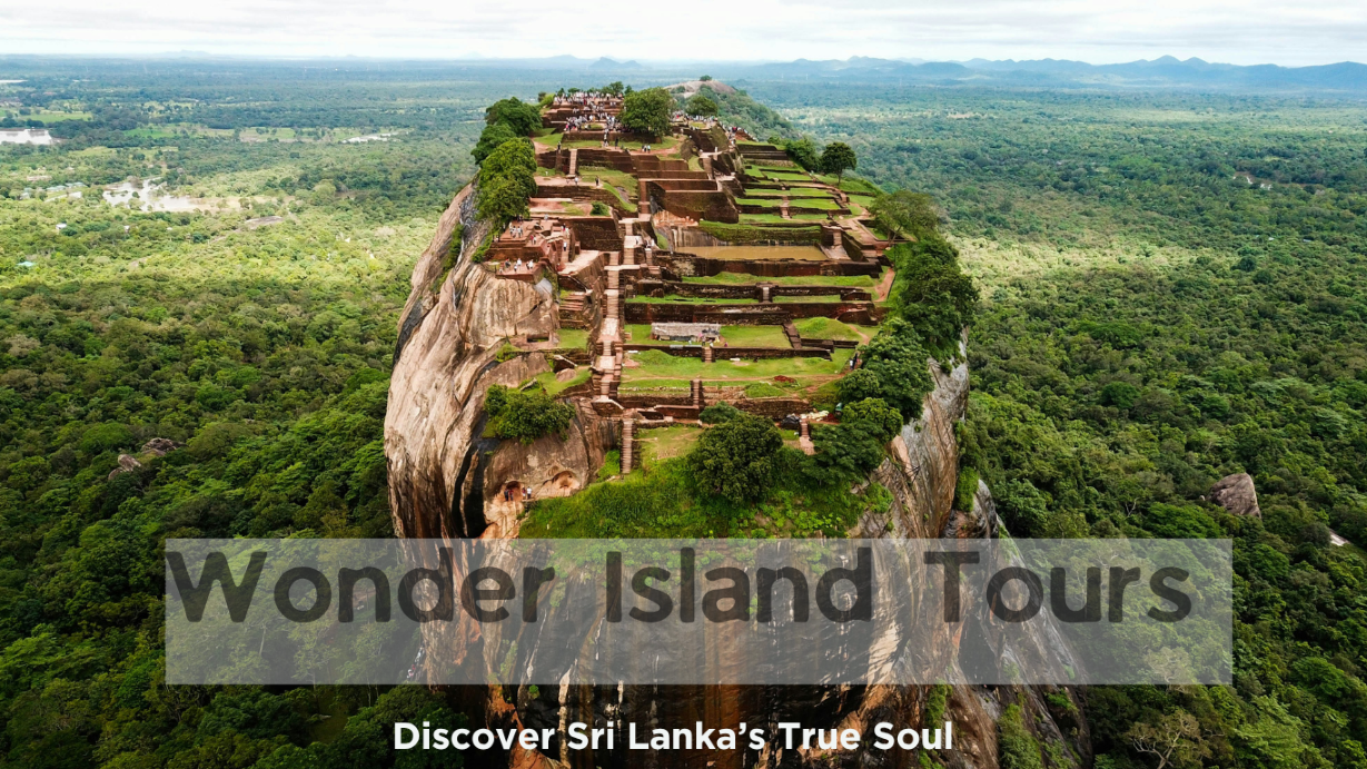 wonder island tours